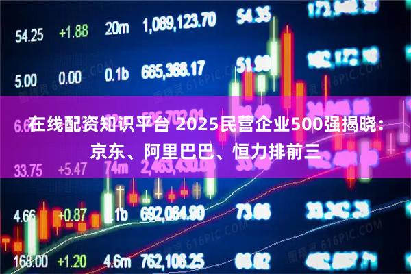 在线配资知识平台 2025民营企业500强揭晓：京东、阿里巴巴、恒力排前三